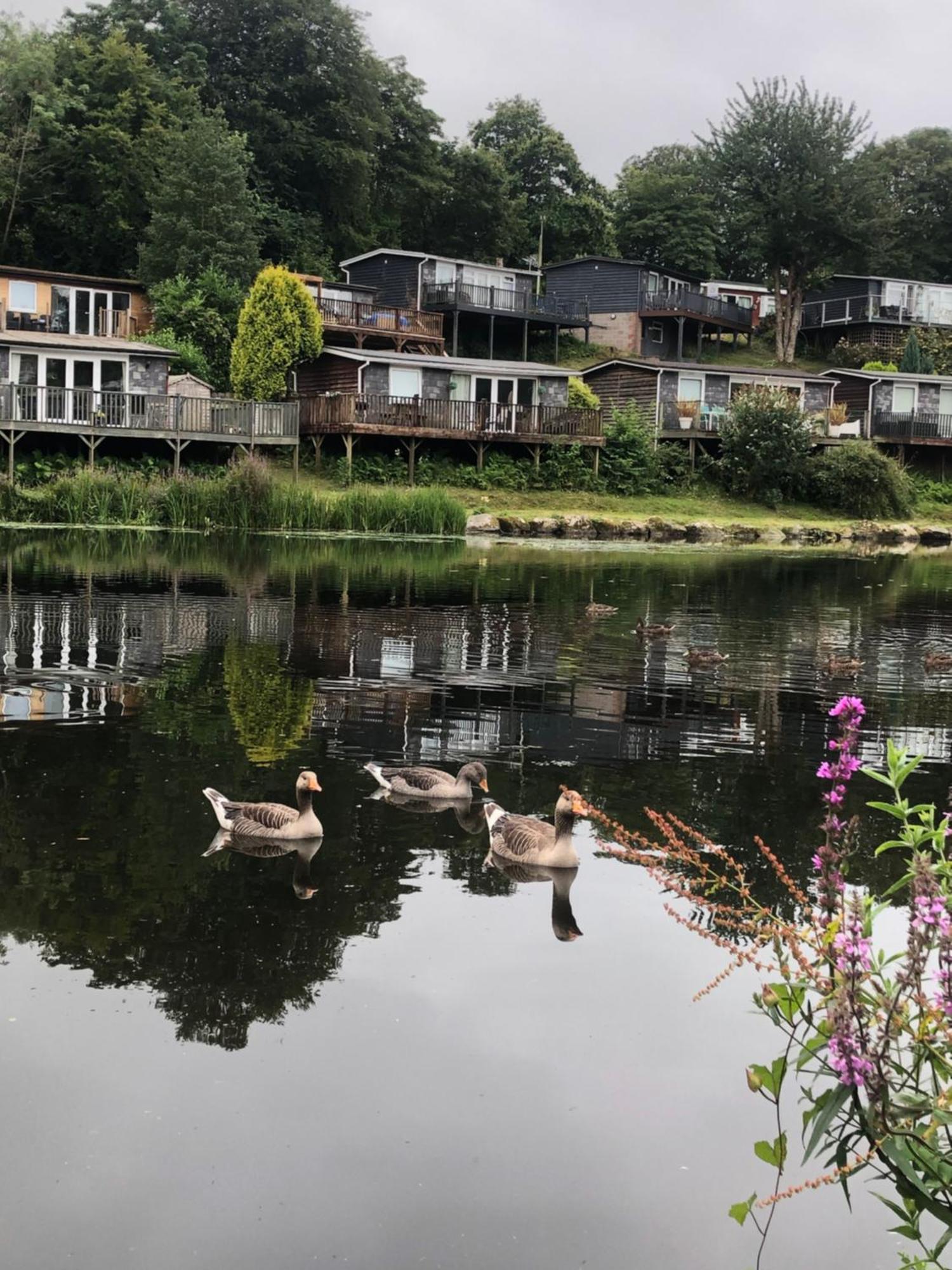 Chalet 64, Lakeside, Glan Gwna Holiday Park Caernarfon Buitenkant foto
